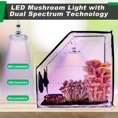 Meonum Large Still Air Box Mushroom Grow Tent, 30x20x20 in Mycology Clear