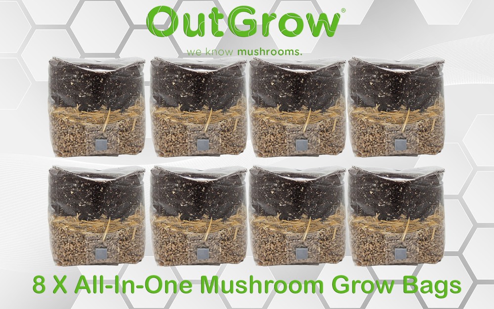 8 X All In One Mushroom Grow Bags