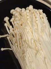 White Enoki Flammulina filiformis Liquid Culture Syringe 10+ ml Svelt & Nutty