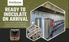 8 X Mini All In One Mushroom Grow Bags
