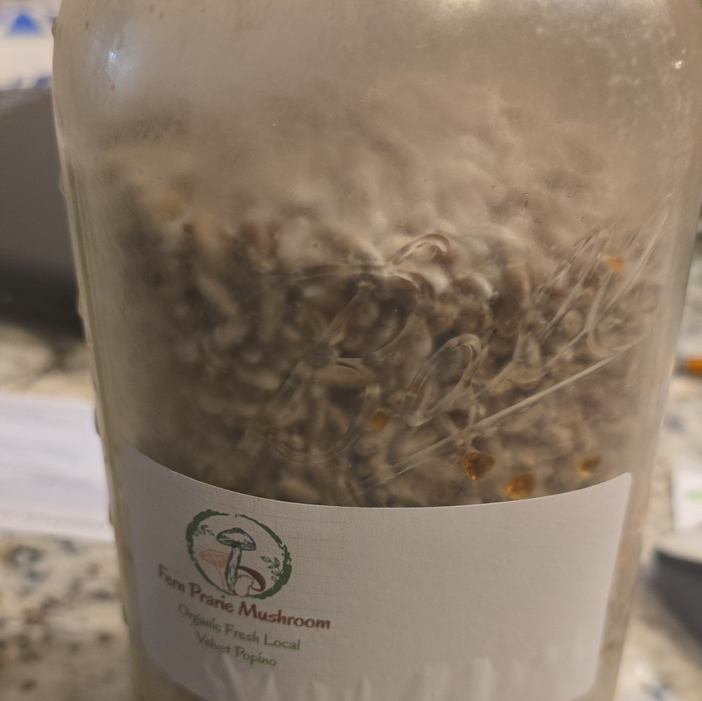 Fern Prairie Mushroom Organic Velvet Popino Spawn – Velvet Popino Mycelium 32 Oz
