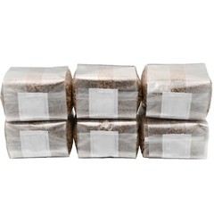 Sterilized Rye Berry Mushroom Substrate (6 pack)