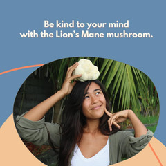 Malama Organic Mushroom Hot Cacao Mix, Lion’S Mane Mushroom Powder with Fair Tra