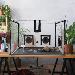 Large Still Air Box Mushroom Mycology Fume Hood Propagation Stationsgrow Kit Mus