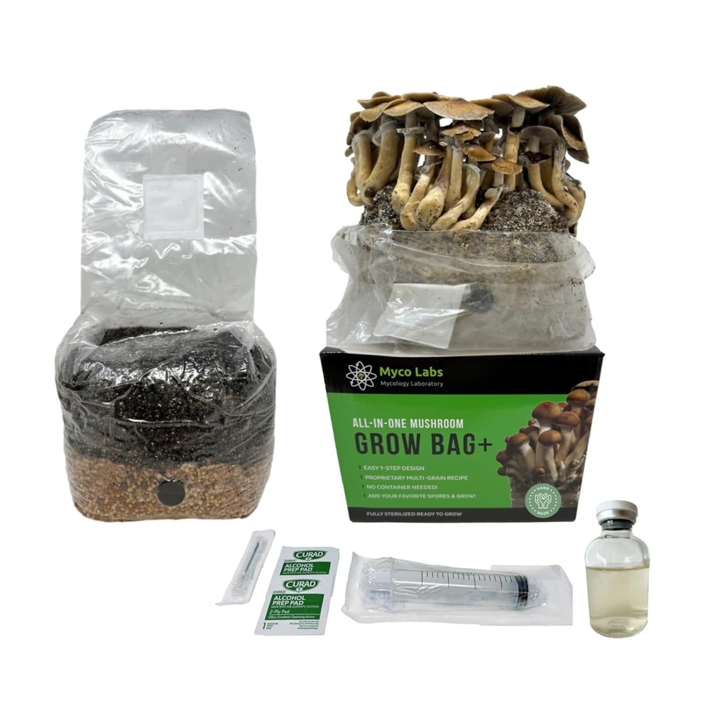 Myco Labs All in One Mushroom Grow Kit in a Bag (4 Lbs)