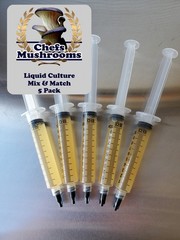 Mix & Match Liquid Culture – 12cc Syringes – 5 Pack – Chefs Mushrooms