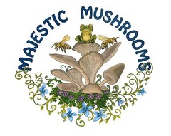 100+ Organic Grey Oyster Gourmet mushroom Plugs for log inoculation – FREE SHIP