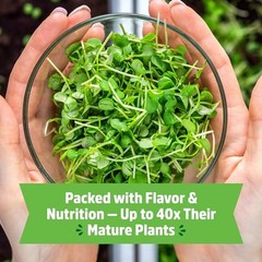 Organic Microgreens Grow Kit with Ceramic Planter, Microgreen Ceramic Kit