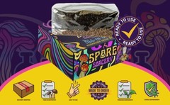 6 Pack | 4LB All-In-One Mushroom Grow Kit | Mushroom Grow Bag