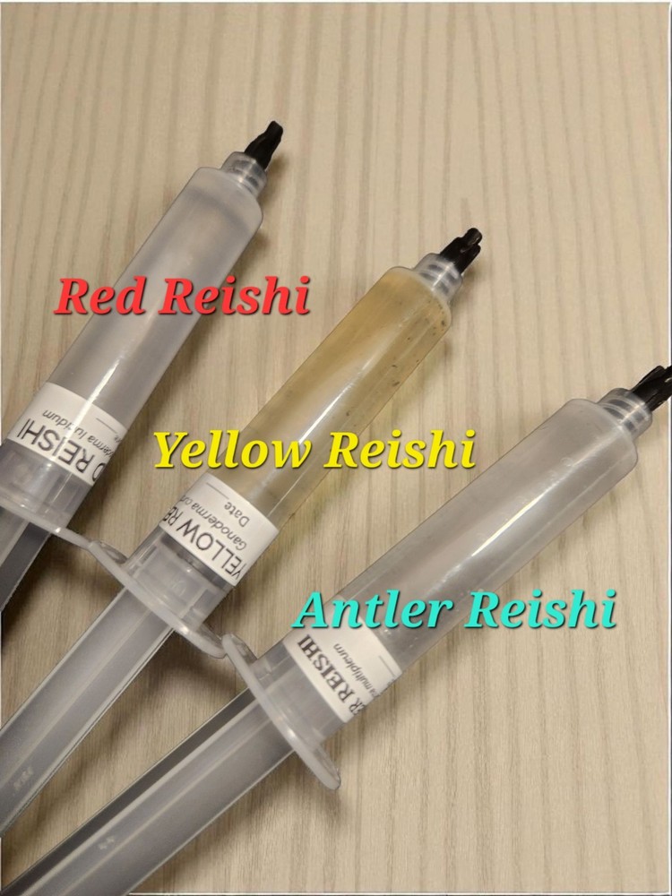 Red, Yellow and Antler Reishi Mushroom Liquid Culture, 10 ml Syringes