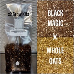 Premium Exotic Dung ALL-IN-ONE Mushroom Grow Kit 2 Pack Kit 3.5lb Mixed Bags