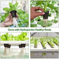 2 Inch Net Cup Pots for Hydroponics Orchids Mesh Baskets with Wide Lip, 50Pack