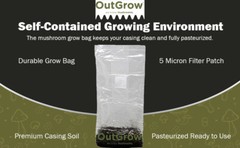Mushroom Substrate Casing Soil ( 10 One Pound Bags)