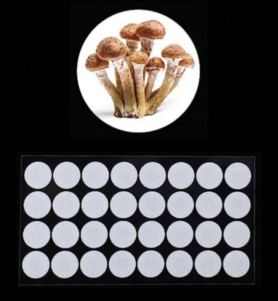32 Synthetic Filter Paper Stickers 20mm 0.3 μm Filter Disc Mushroom Cultivation