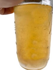 Easy Mushroom Cloning System – Premium Liquid Culture Kit for Spore Germination