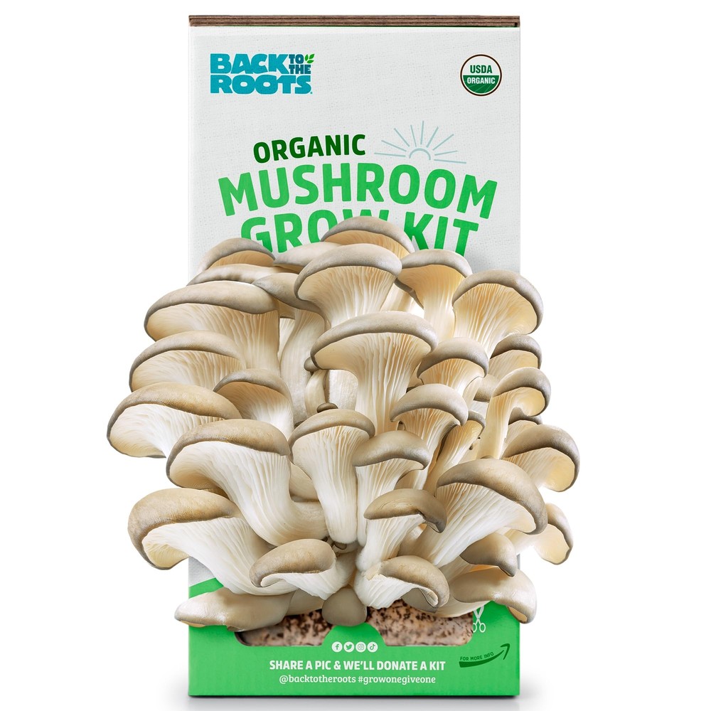Back to the Roots Organic Mushroom Grow Kit Indoor Non GMO Easy Planting