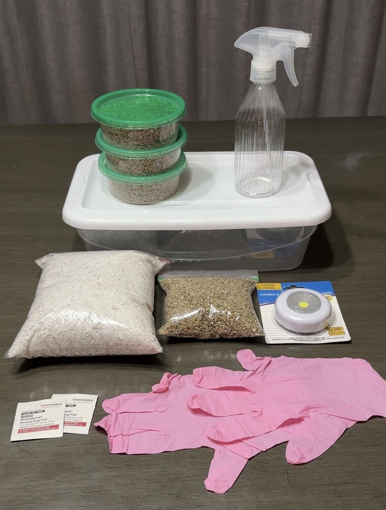 EASY Mushroom Growing Kit w/ 3 Pre-Sterilized 1/2 Pint Jars JUST ADD SPORES