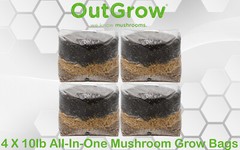 All-In-One Mushroom Grow Bag (40lbs)