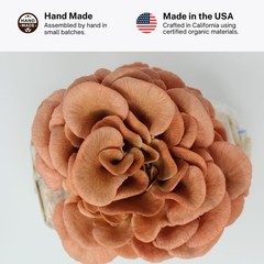 Unique Pink Oyster Mushroom Grow Kit – Made in California