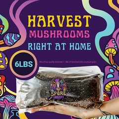 6 Pack All-in-One Mushroom Grow Kit in a Bag | MAX YIELD | 6lbs | 36 lbs total!!