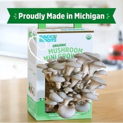Back to the Roots Organic Mini Mushroom Grow Kit, Harvest Gourmet Oyster