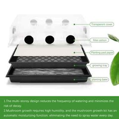 Still Air Box Mushroom Cultivation Kit Oyster Mushroom. Shipping from China