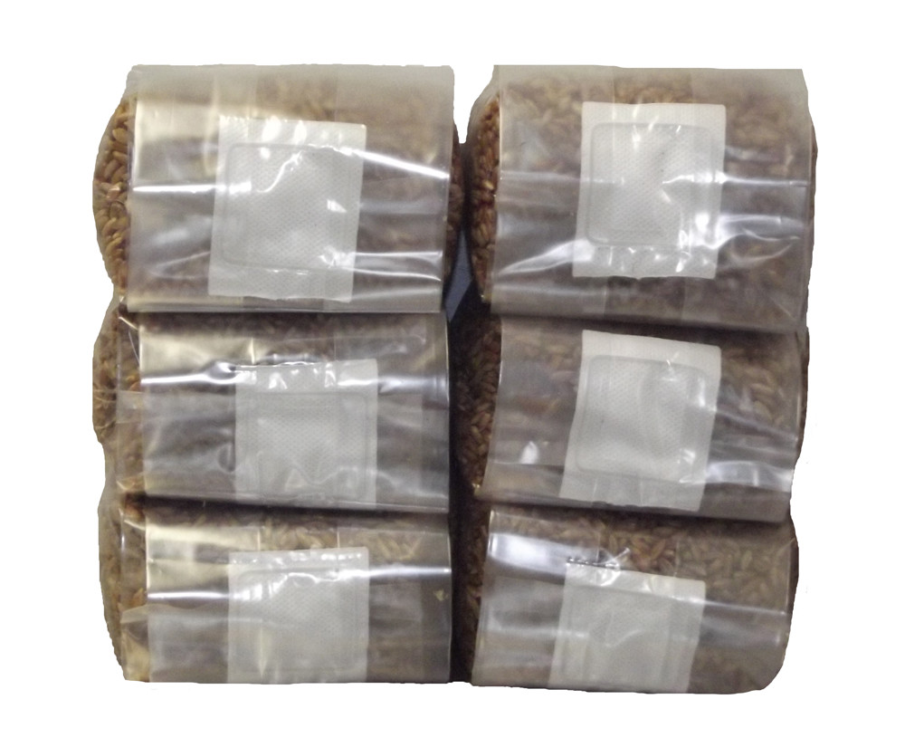 Sterilized Rye Berry Mushroom Substrate (6 pack)
