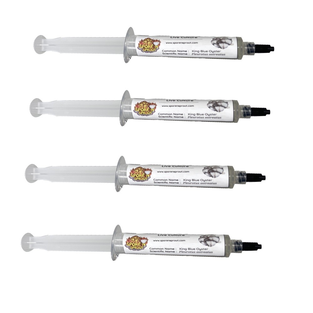 4 Pack KING BLUE OYSTER Gourmet Mushroom Liquid Culture