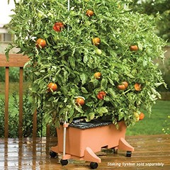 80155 Garden Kit Terracotta Organic