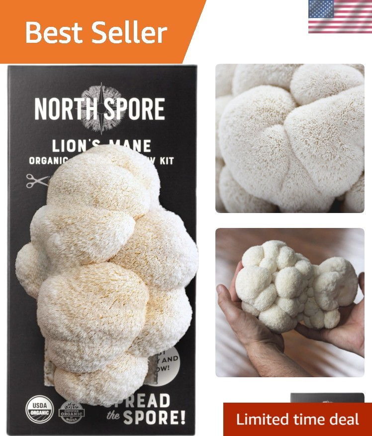 USDA Organic Lion’s Mane Spray & Grow Kit – Easy 4 lbs Mushroom Cultivation