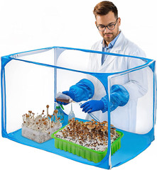 Still Air Box 35.5X23.5X23.5Inch Mushroom Grow Kit-Mushroom Grow Bags Portable