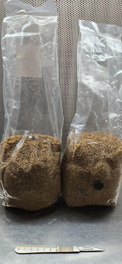 The Best Grain Bags for Your Needs 2.2 lbs. Organic Millet w/Injection Port
