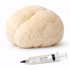 Mushroom Liquid Culture Syringe | 10mL each | Volume Pricing | Spore & Root