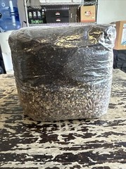 Maxx Flush All in One 4 Lb