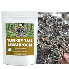 Dried Whole Turkey Tail Mushrooms – 2.5 oz, Natural Umami Flavor for Cooking