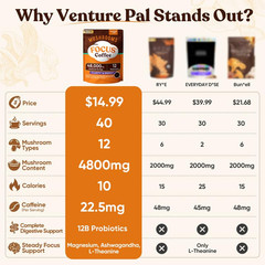 Mushroom Coffee (40 Servings) 12 Adaptogenic Mushrooms, Lion’s Mane, Cordyceps,
