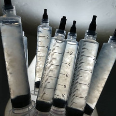 Pink Oyster (Valentine) Mushroom (Pleurotus djamor) Liquid Culture Syringe