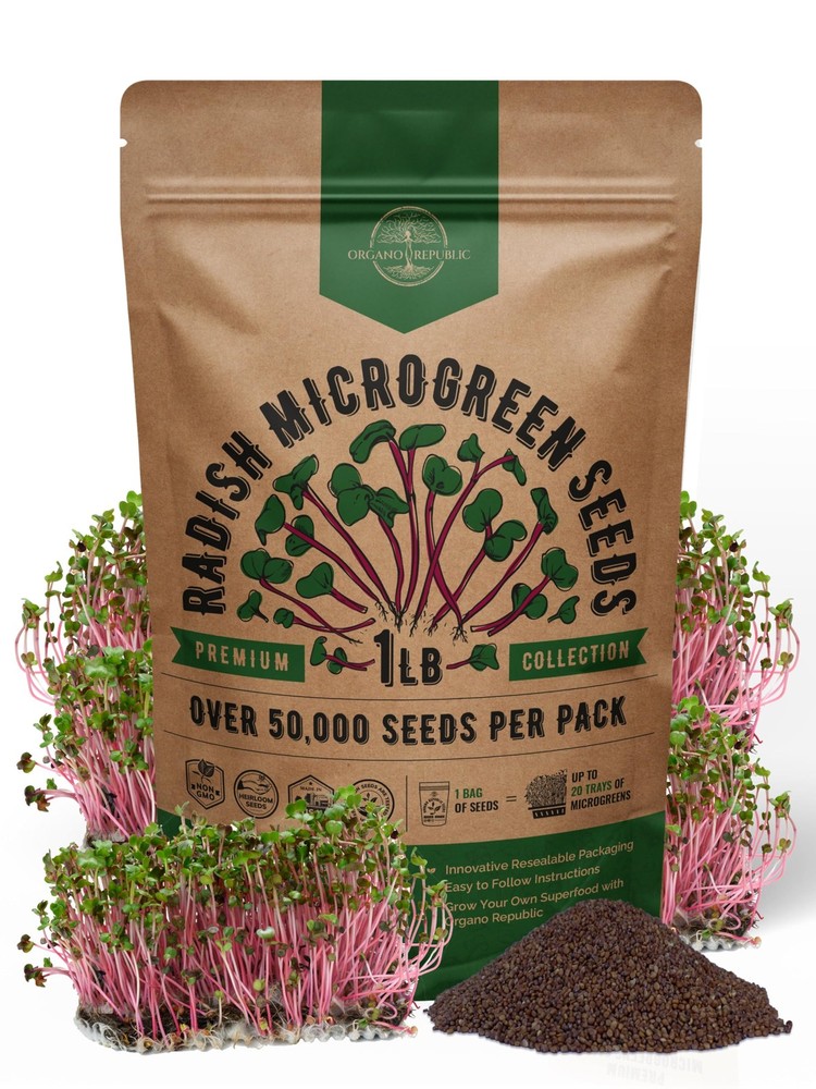 Organo Republic Radish Sprouting & Microgreens Seeds – 1 lb, Green, Pink