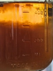 Dr. Silurian’s Elixir of Mycelial Mastery | Liquid Culture Premix