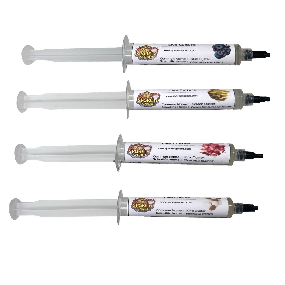 4 Pack Of Gourmet Mushroom Liquid Culture Syringes