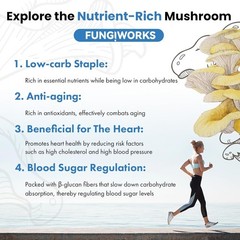 Organic Edible 4lbs Golden Oyster Mushroom Growing Kit, Made in USA, Double-Side