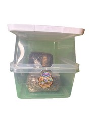 Complete DubTub XL Mushroom Grow Kit