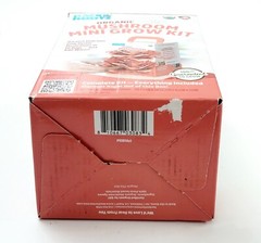 Back To The Roots Organic Pink Oyster Mushroom Grow Kit Harvest Gourmet Fungi