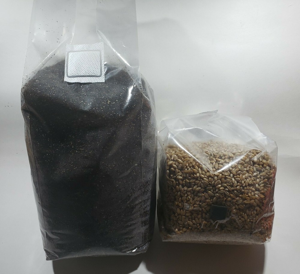 Mushroom grain spawn bag and super substrate kit.2LB grain 4LB substrate.