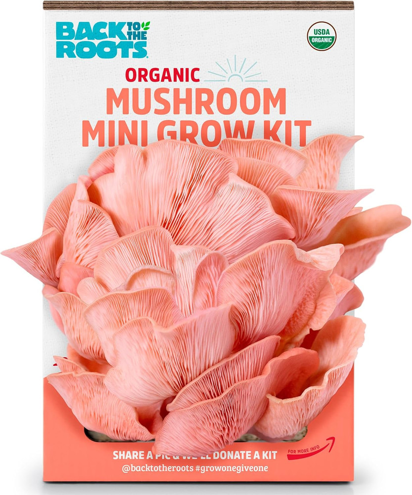 Organic Pink Miniature Mushroom Grow Kit, Harvest Gourmet Mushrooms in 10 Days