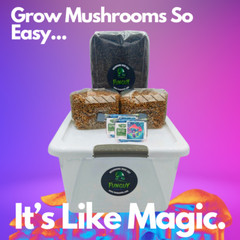 Grow Like Magic – Mushroom Grow Kit, Grain Bags Substrate and Monotub & Bonus