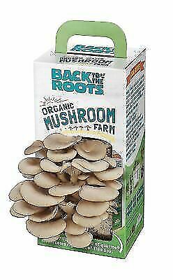 Back To The Roots Organic Mushroom Farm Grow Kit
