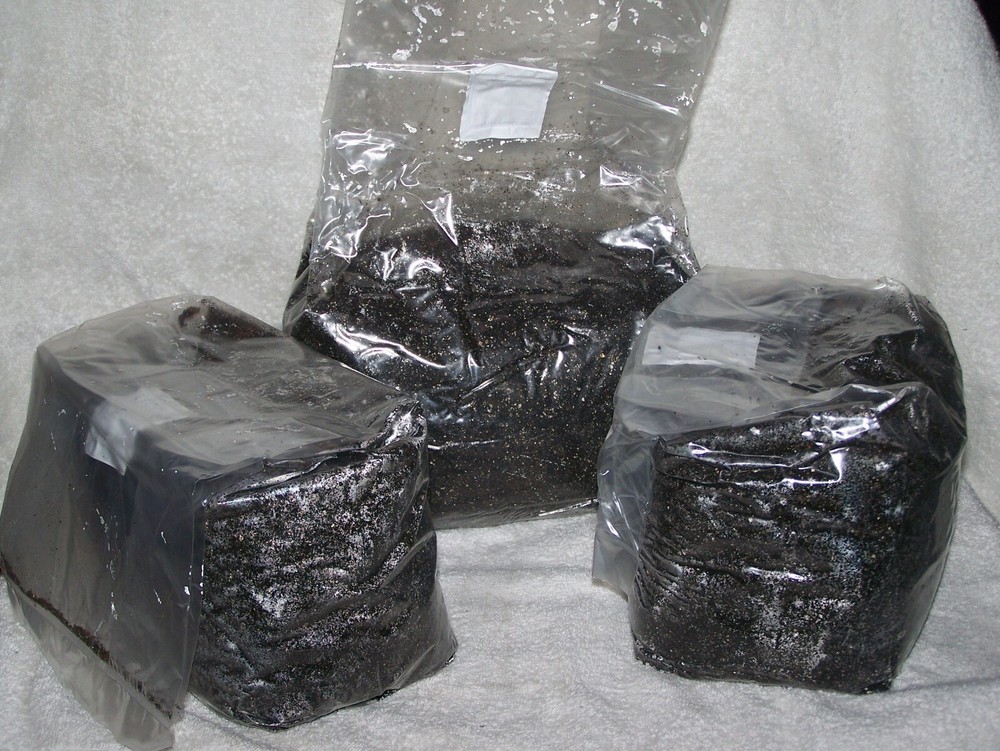 5 lbs Coconut Coir, Vermiculite And Gypsum Bulk Mushroom Substrate in Grow Bag