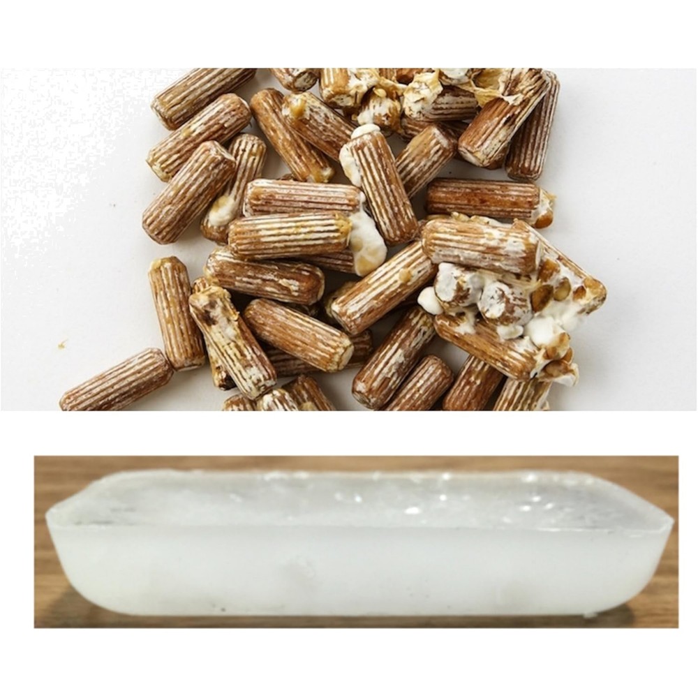 Grow Your Own Shiitake Mushrooms – 100 Plug Spawn & 3oz Wax, Easy Instructions