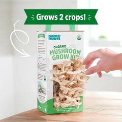 Back to the Roots Organic Oyster Mushroom Grow Kit, Gourmet Mushrooms In 10 Days